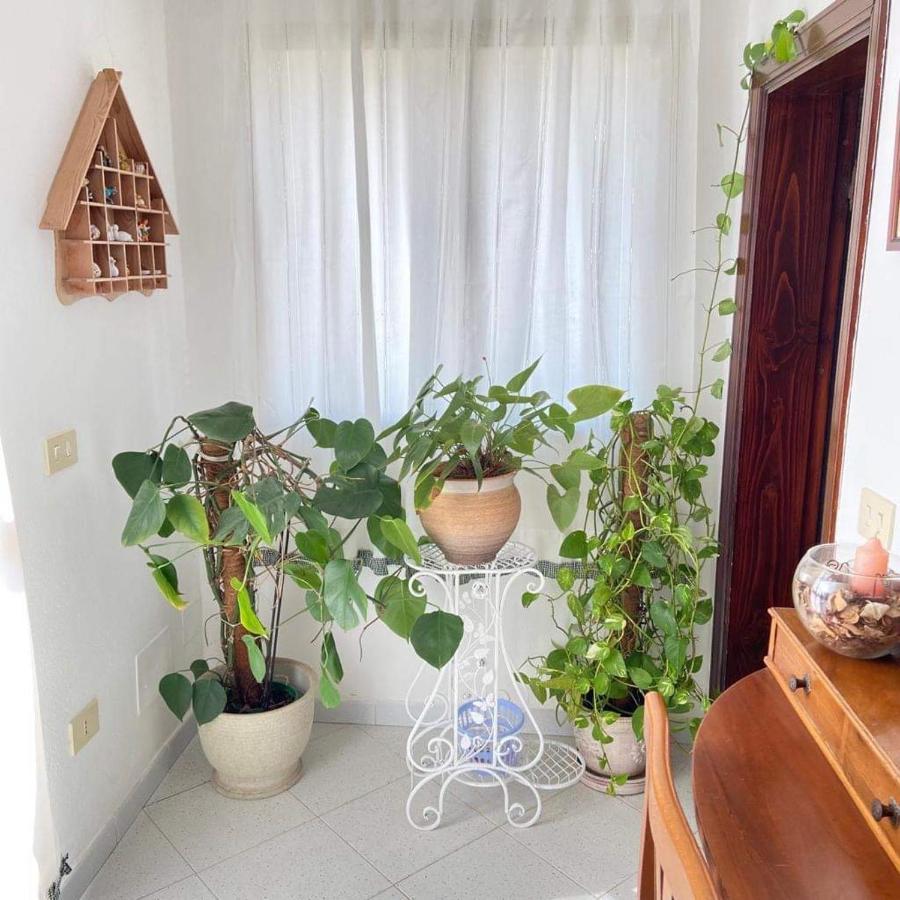Casa Maltinu Villa Santa Teresa Gallura Exterior photo