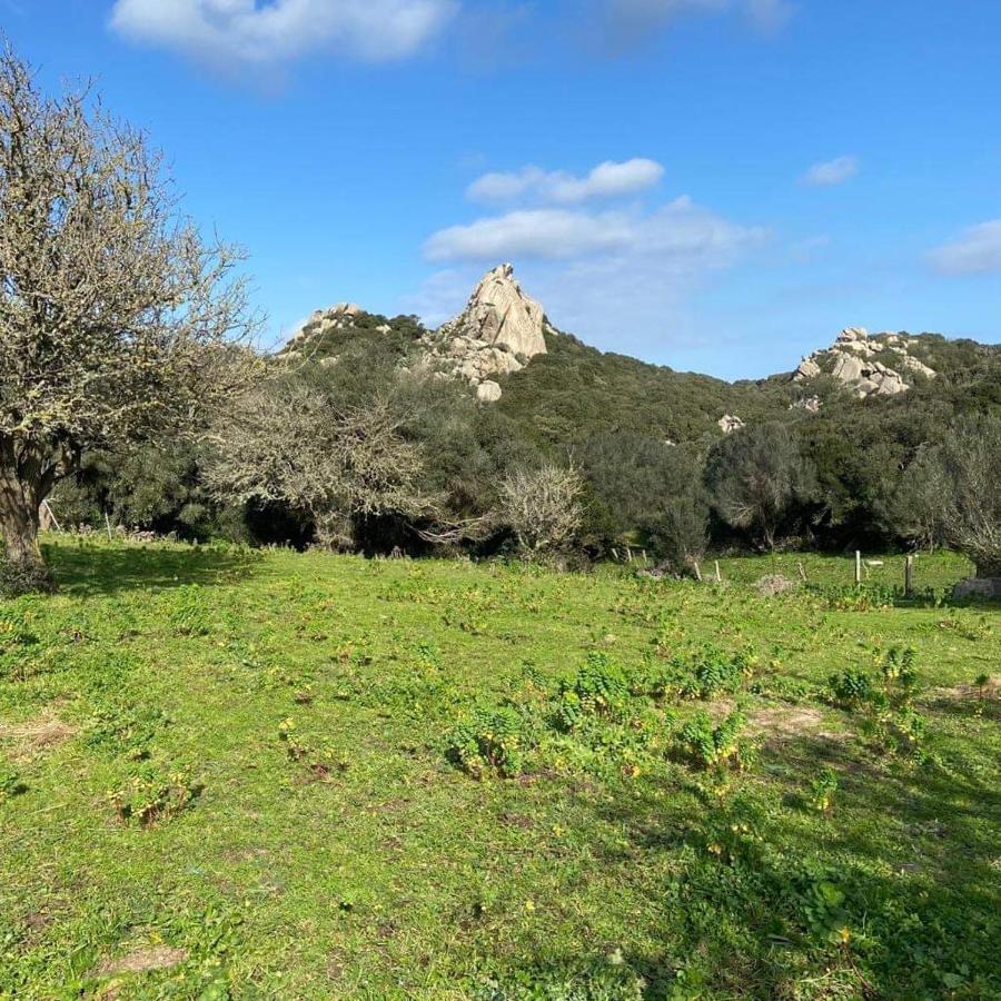 Casa Maltinu Villa Santa Teresa Gallura Exterior photo