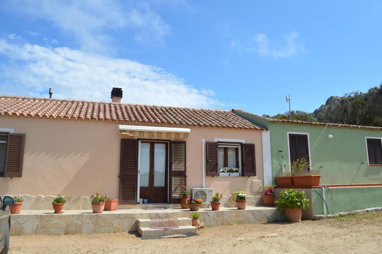 Casa Maltinu Villa Santa Teresa Gallura Exterior photo