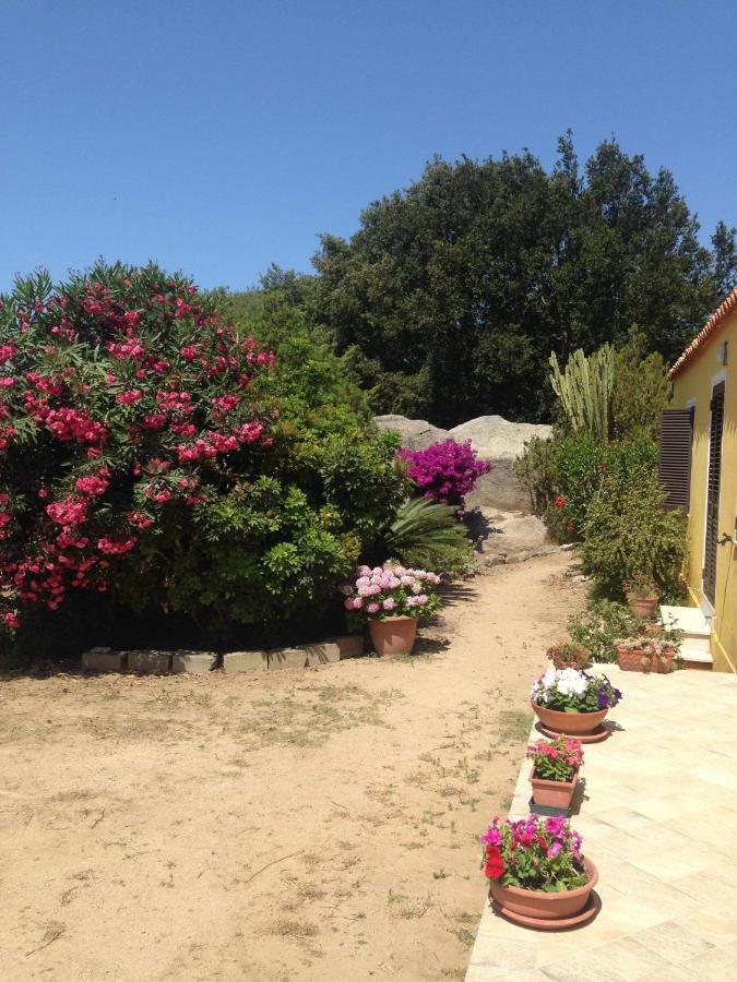 Casa Maltinu Villa Santa Teresa Gallura Exterior photo